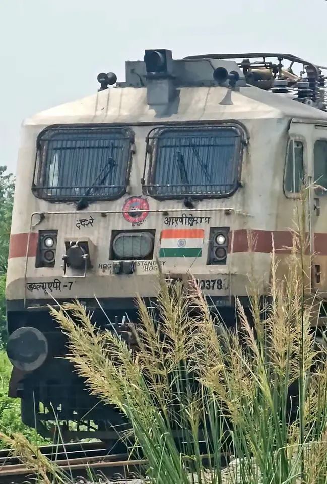 15725 New Jalpaiguri - Anand Vihar Terminal Express train photo 1